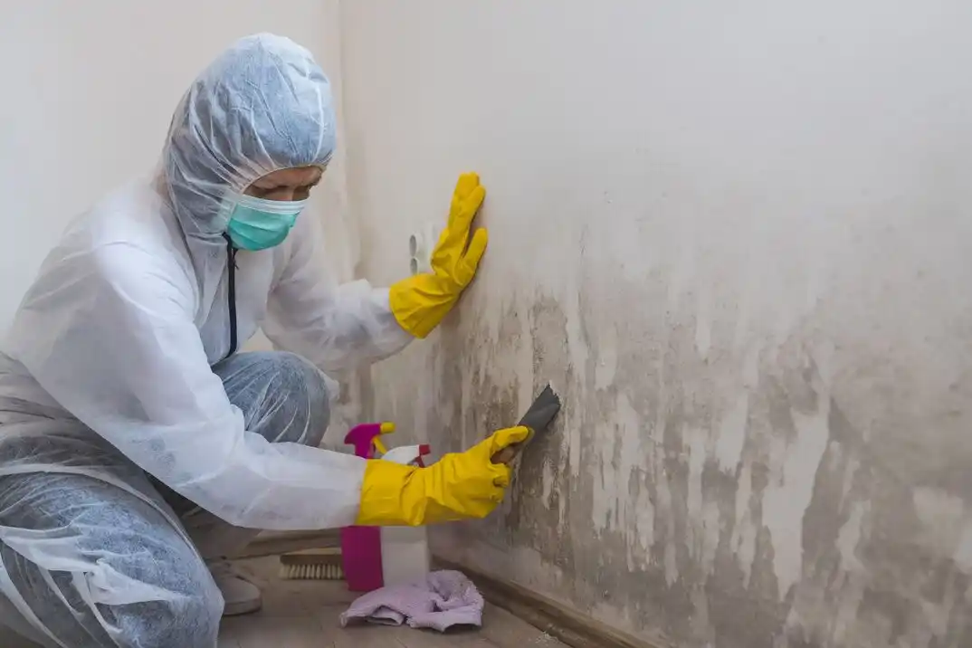 water damage restoration service Heller Park